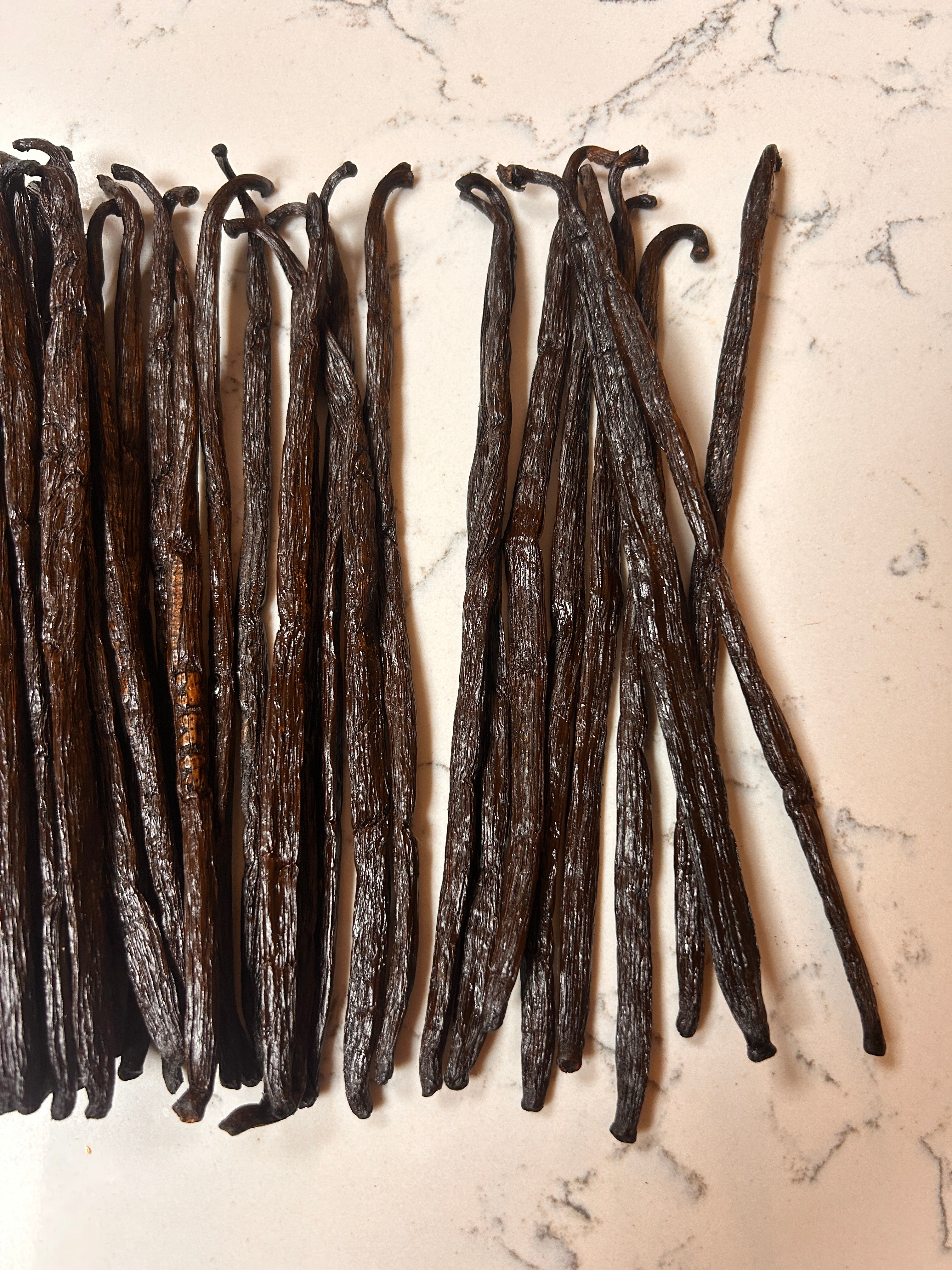 Vanille Bourbon de Madagascar 18/20 cm, Qualité Gourmet (250g)