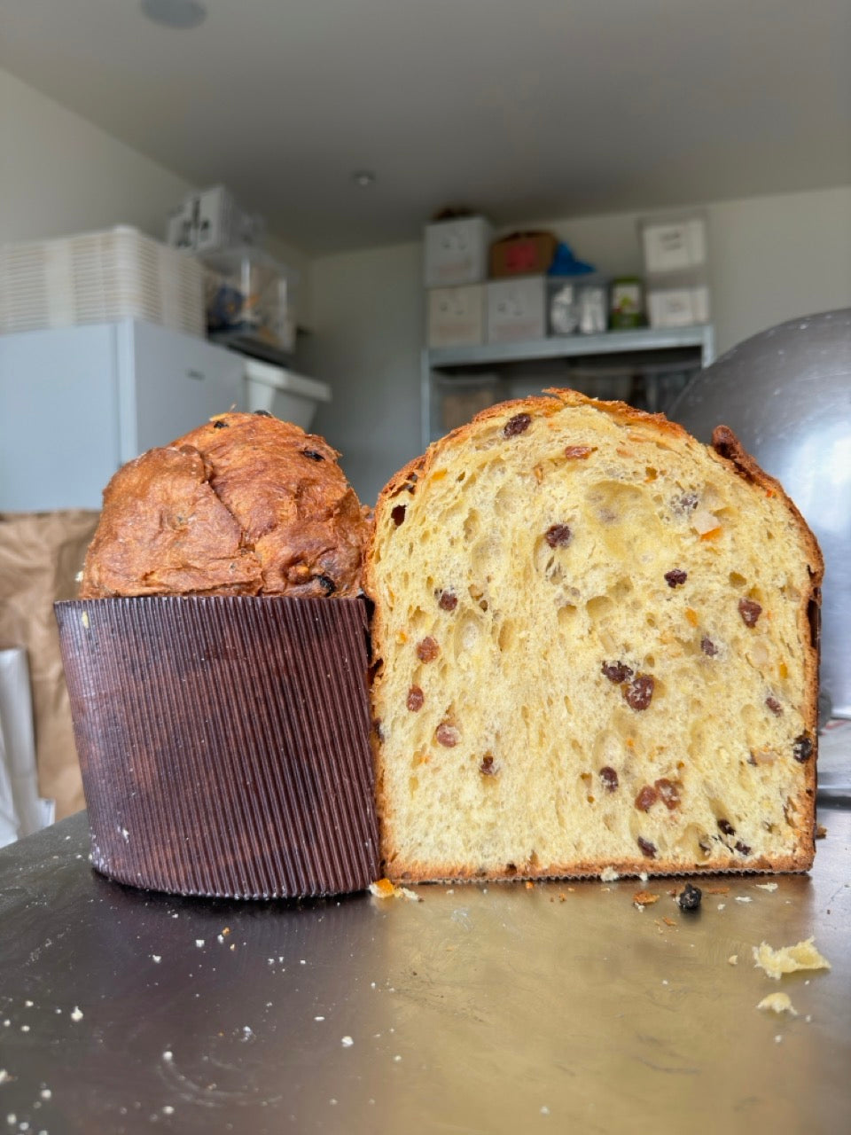 Panettone Classico Bio aux Fruits Confits - 750g