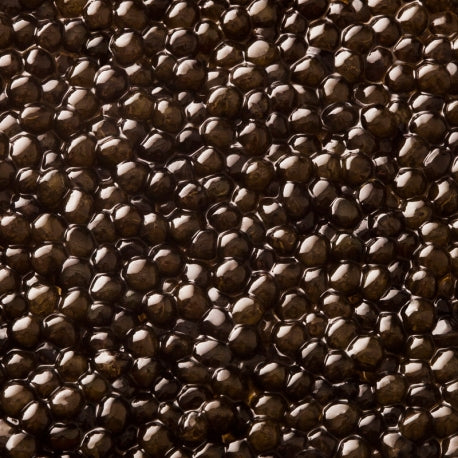 Caviar osciètre 500 g